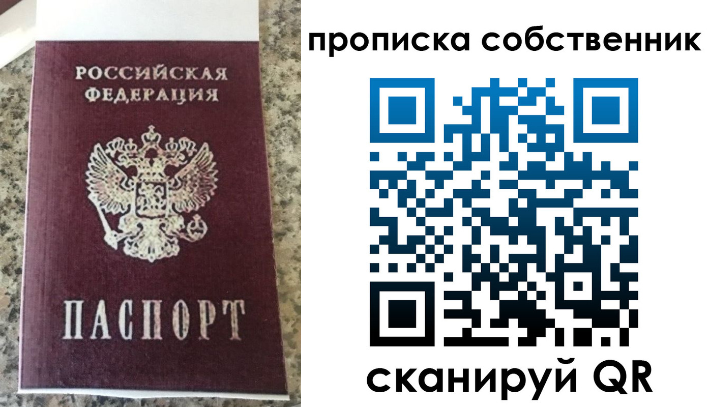 прописка для школы в Елизово